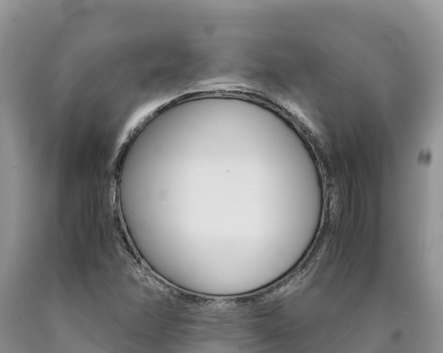 X0000090881358200707271007