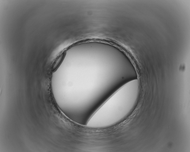 X0000090881359200707271007