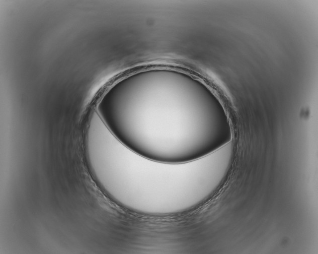 X0000090881360200707271007