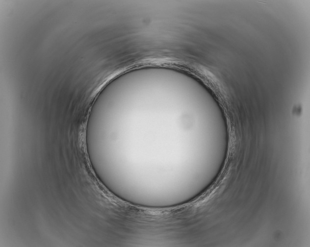 X0000090881361200707271007