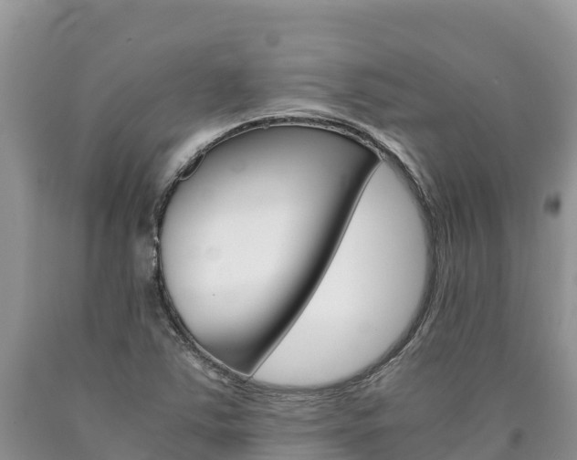 X0000090881363200707271007
