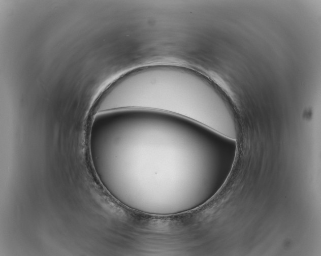 X0000090881364200707271007