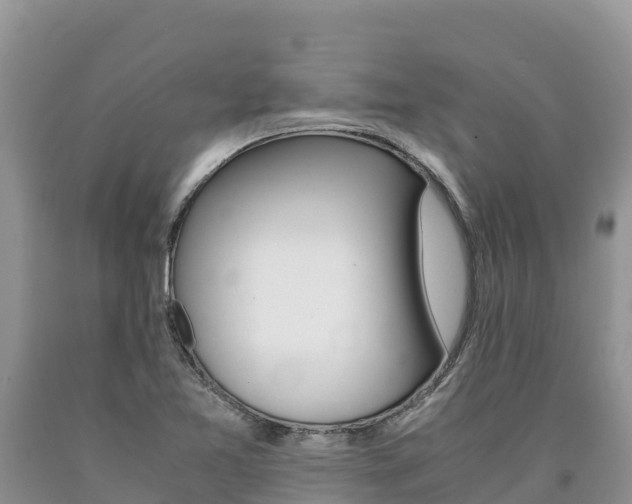 X0000090881365200707271007