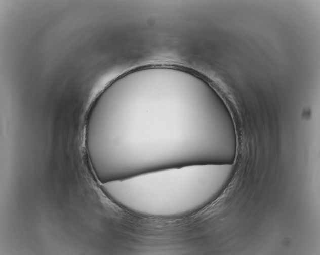X0000090881366200707271007