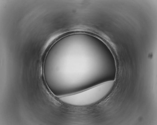 X0000090881368200707271007