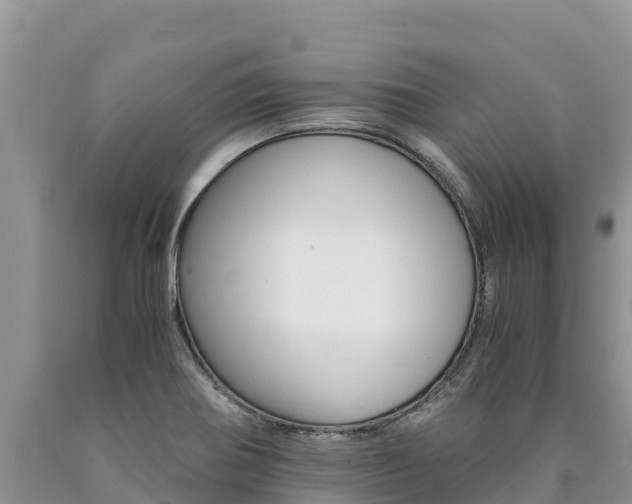 X0000090881370200707271007
