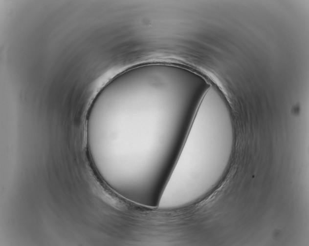 X0000090881371200707271007