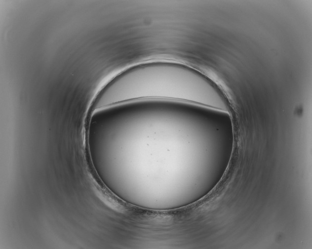X0000090881372200707271007