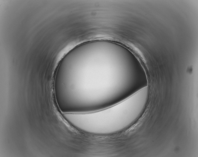 X0000090881373200707271007