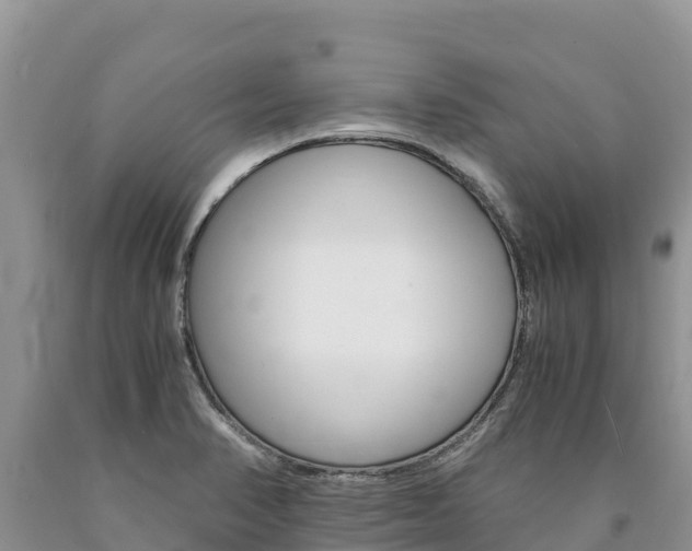 X0000090881374200707271007