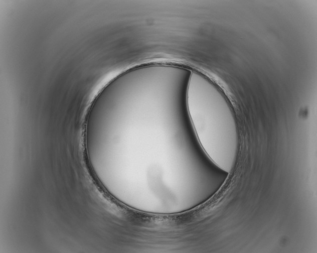 X0000090881375200707271007