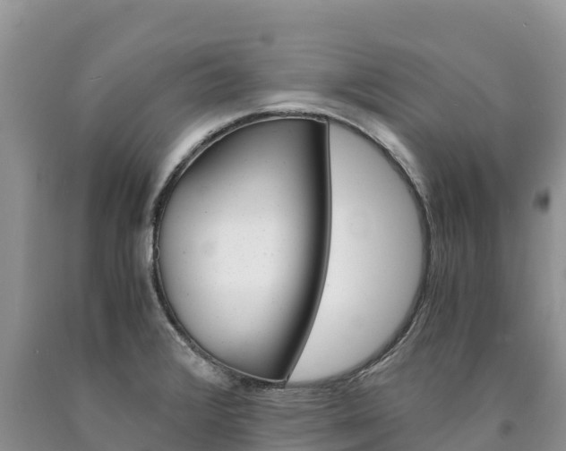 X0000090881376200707271007