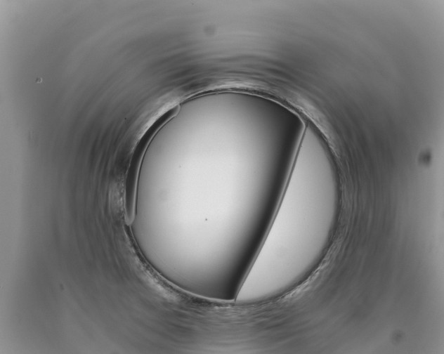 X0000090881377200707271007