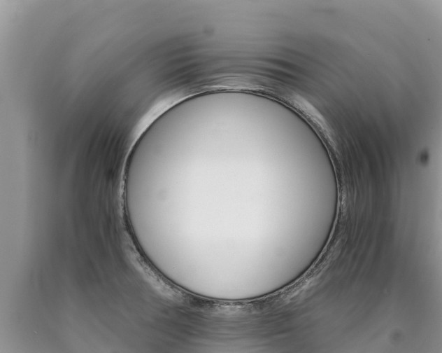 X0000090881378200707271007