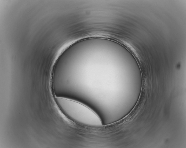 X0000090881379200707271007