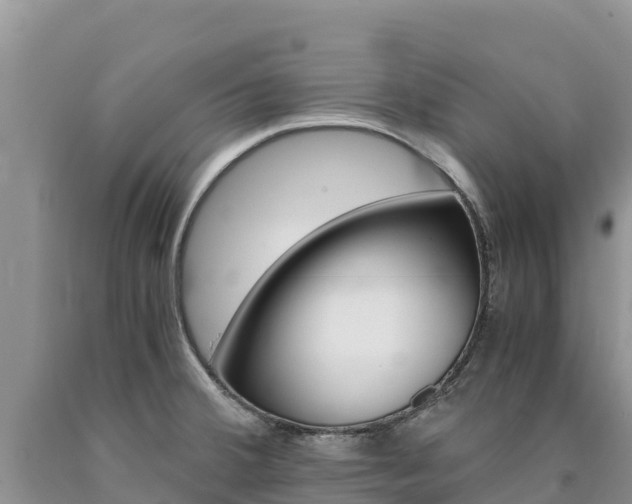 X0000090881380200707271007