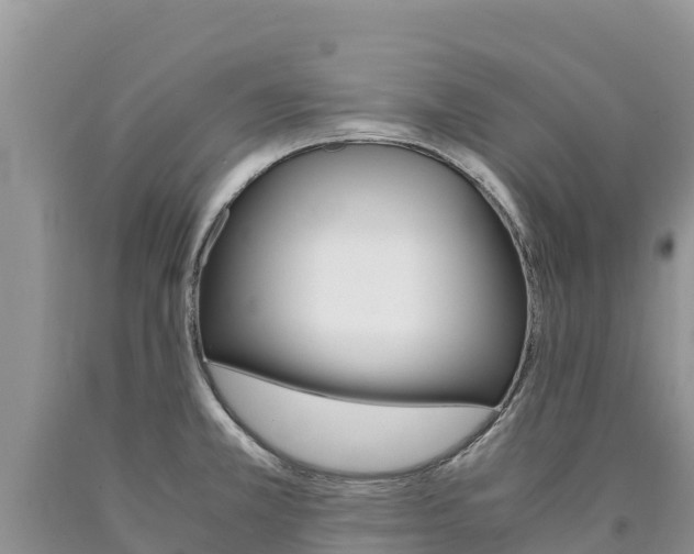 X0000090881381200707271007