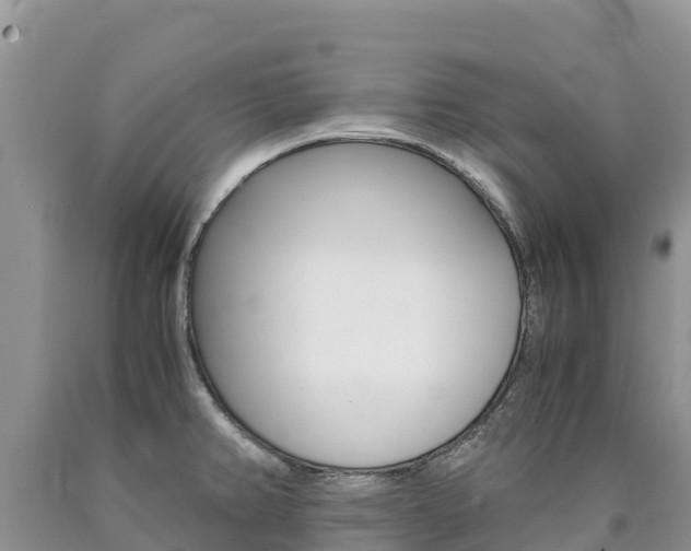 X0000090881382200707271007