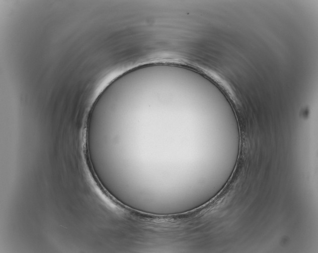 X0000090881383200707271007