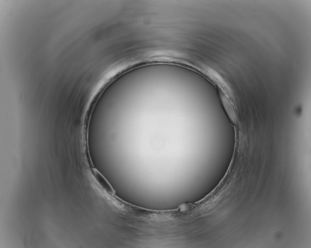 X0000090881384200707271007