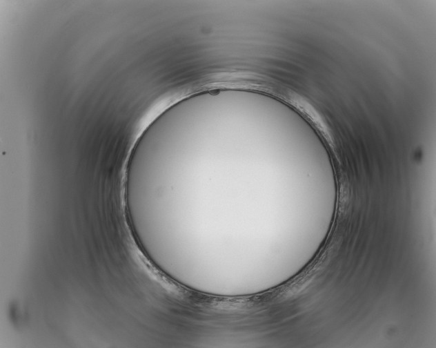 X0000090881386200707271007