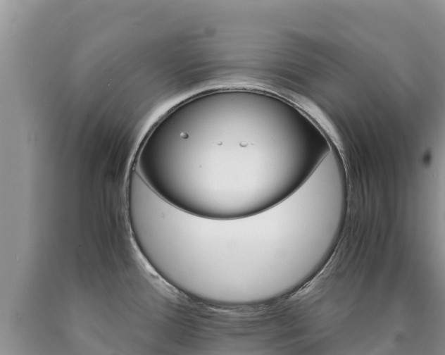 X0000090881388200707271007