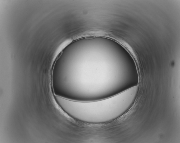 X0000090881389200707271007