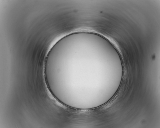X0000090881390200707271007