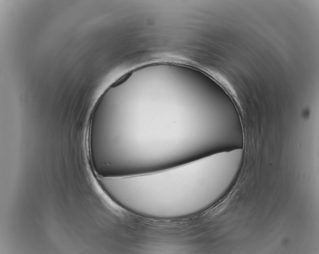 X0000090881391200707271007