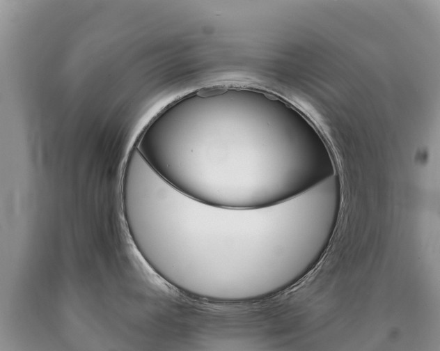X0000090881392200707271007