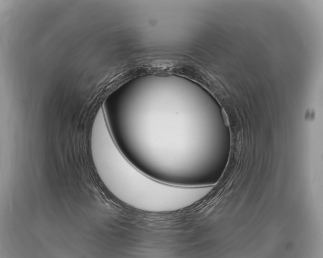 X0000090881394200707271006