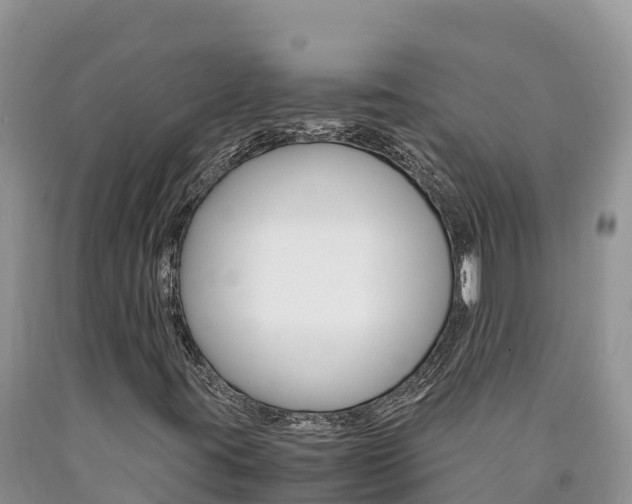 X0000090881395200707271006