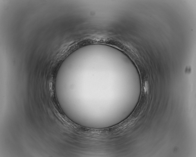 X0000090881396200707271006