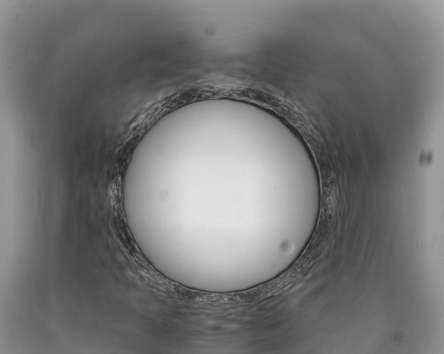 X0000090881397200707271006