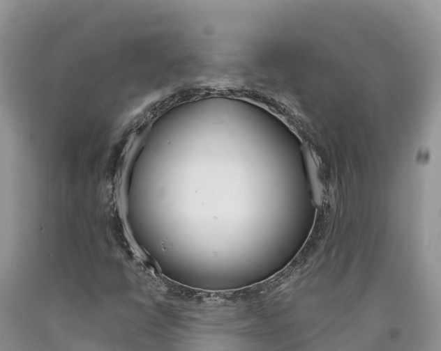 X0000090881398200707271006