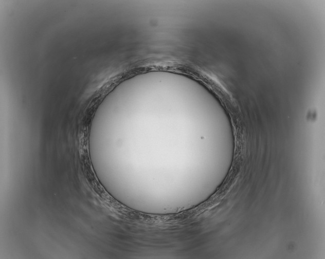 X0000090881399200707271006
