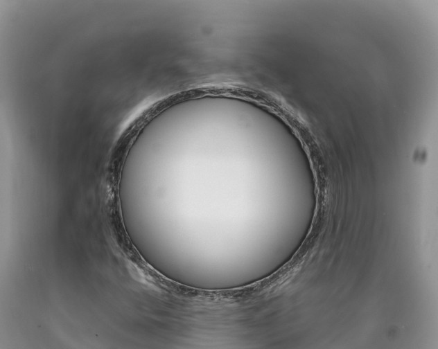 X0000090881400200707271006