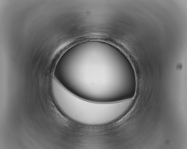 X0000090881402200707271006