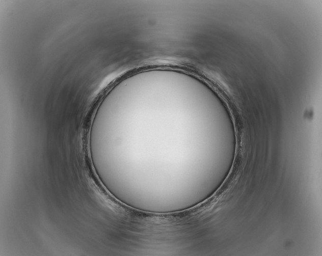 X0000090881404200707271006