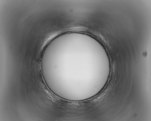 X0000090881405200707271006