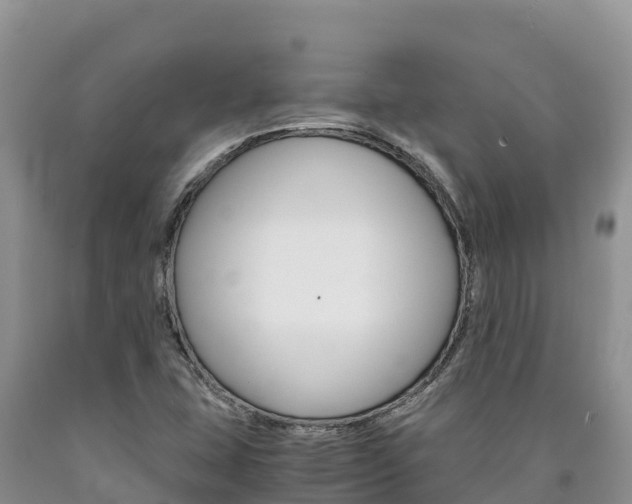 X0000090881407200707271006