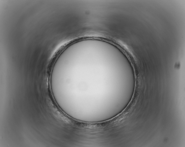 X0000090881408200707271006