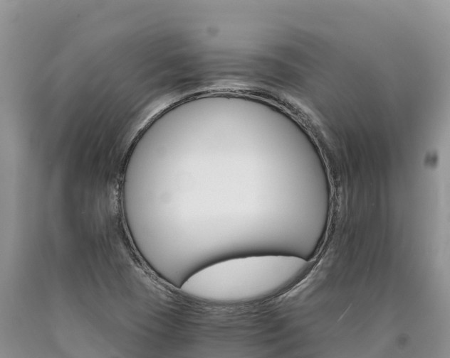 X0000090881409200707271006