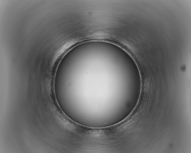 X0000090881410200707271006