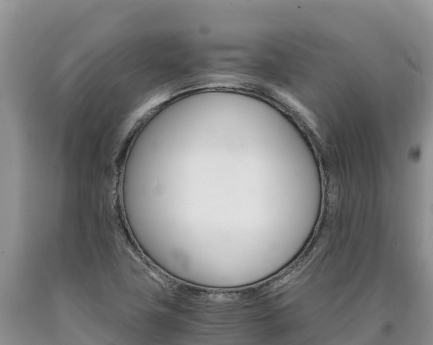 X0000090881411200707271006