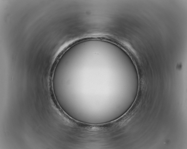 X0000090881412200707271006