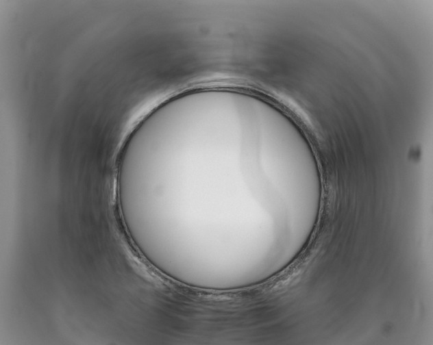 X0000090881413200707271006