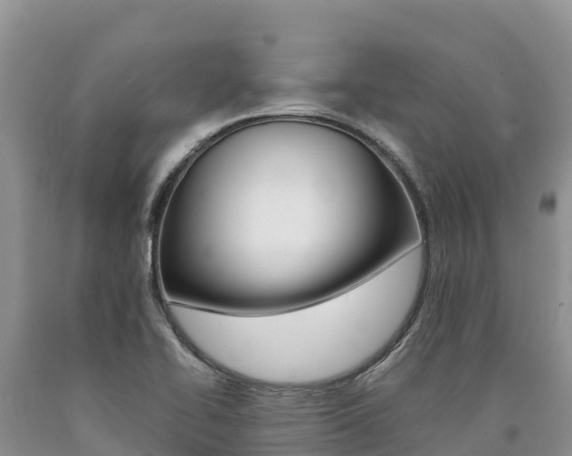 X0000090881414200707271006