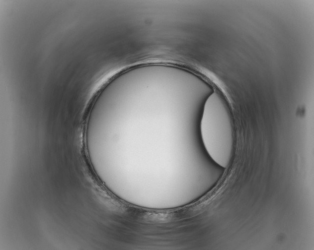 X0000090881415200707271006
