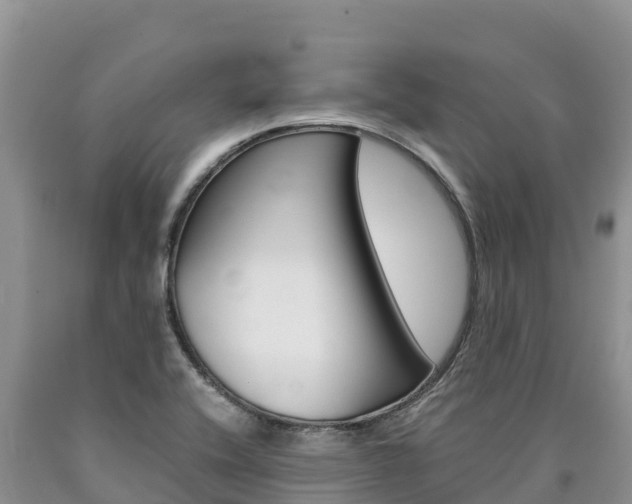 X0000090881416200707271006